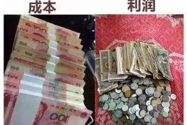 西林西林的要账公司在催收过程中的策略和技巧有哪些？