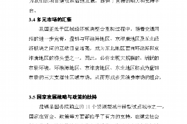 西林如何避免债务纠纷？专业追讨公司教您应对之策